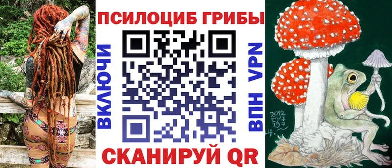 Псилоцибиновые грибы Psilocybe  Купить закладки  Пошехонье 